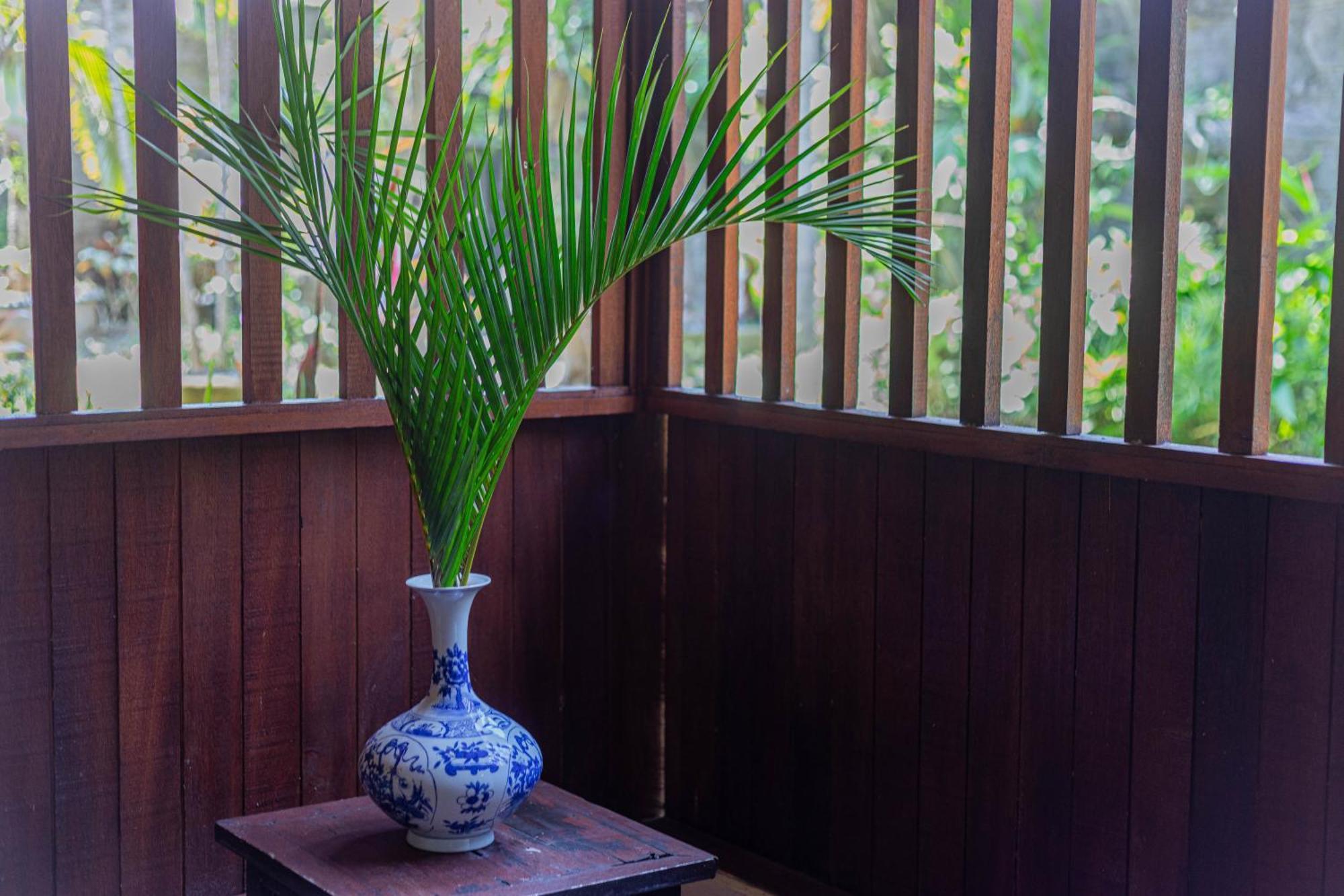 Puri Mango Guest House Sanur Bagian luar foto
